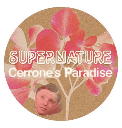 A tribute to Marc Cerrone